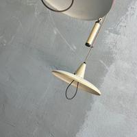 Coppia di lampade a sospensione vintage