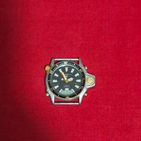 Orologio Promaster Acqualand Citizen