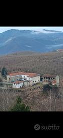 Azienda agricola NOCCIOLE LANGHE 