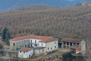 Azienda agricola NOCCIOLE LANGHE 