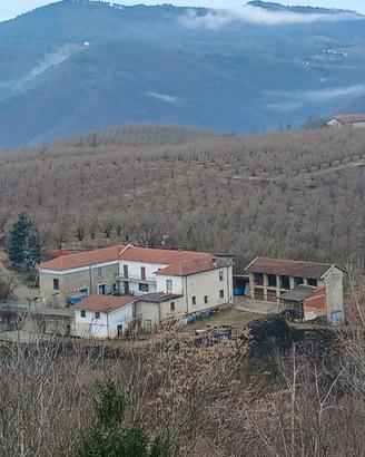 Azienda agricola NOCCIOLE LANGHE 