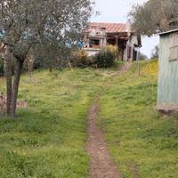 Casa indipendente
