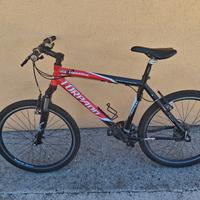 bici adulto mtb torpado