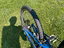 Immagine 6