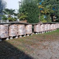 Legna da ardere in faggio su bancale 