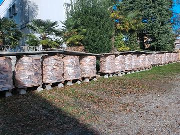 Legna da ardere in faggio su bancale 