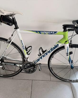 Bici da corsa professionale