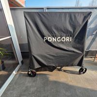 Tavolo da ping pong