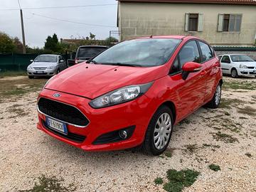 Ford Fiesta 1.4 5 porte Bz.- GPL Black & White Edi