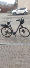 Ebike Shimano-Orus 6000
