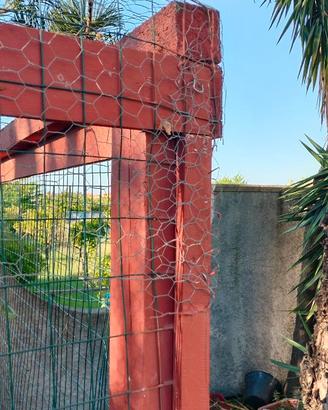 Recinzione con casetta per animali