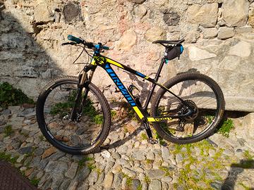 Mtb Torpado in carbonio 