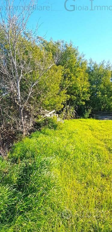 Terreno di 3360 m² a Sessa Aurunca - Vista 5