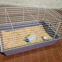 gabbia piccoli animali