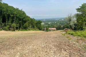 Un po' di TERRA per Uno o più Desideri