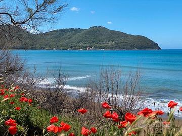 Casa Vacanze in Toscana Costa Etruschi BARATTI