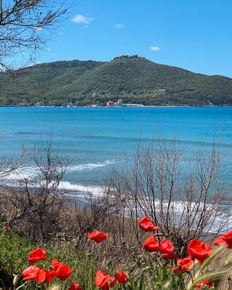 Casa Vacanze in Toscana Costa Etruschi BARATTI