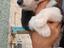 Immagine 2