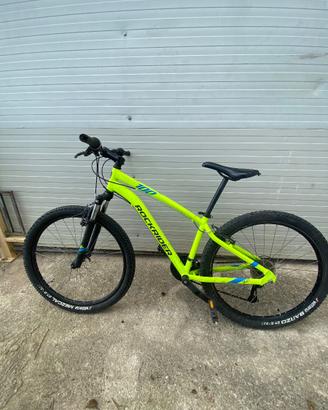 rockrider