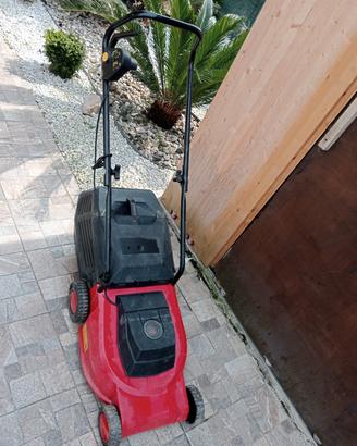 rasa erba elettrica 