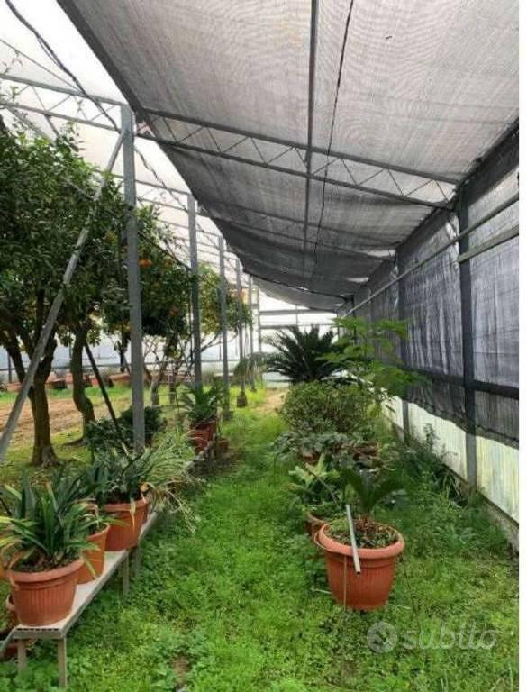 Immobile in asta di 5270 m² a Pescia - Vista 2