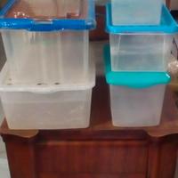 4 vaschette di plastica per pesci- o tartaruga