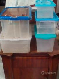 4 vaschette di plastica per pesci- o tartaruga