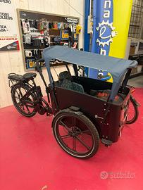 CARGO CITY EBIKE