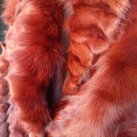 Giacca pelliccia volpe 