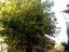 Immagine 25