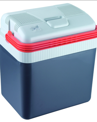 frigo termoelettrico per auto