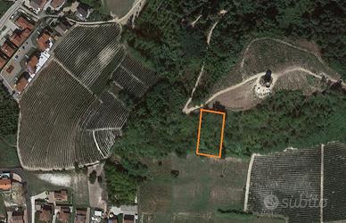 Terreno da vigneto