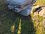 Immagine 2