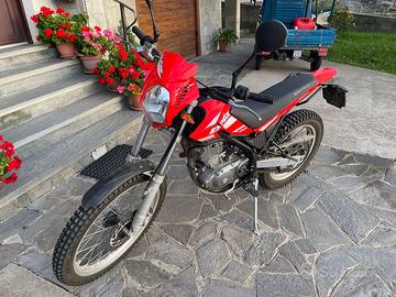 Beta alp