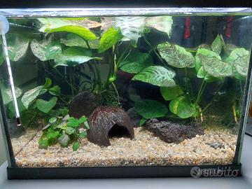 Acquario  completo 