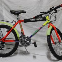 Mountain bike 20 pollici