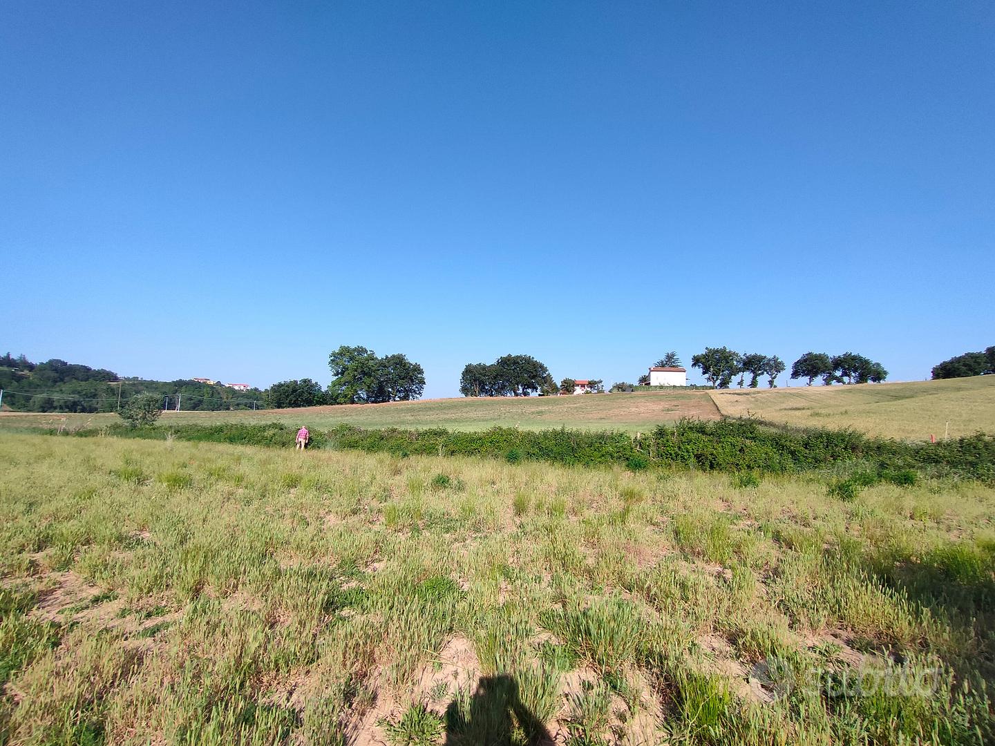 Terreno di circa 8 ettari agricoli irrigui - Vista 3