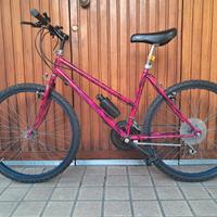 Mountain-bike anni 80