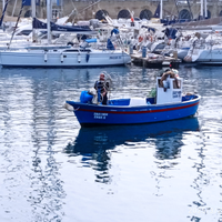 Barca da pesca