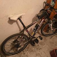 Mtb Olimpia