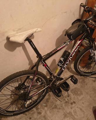 Mtb Olimpia