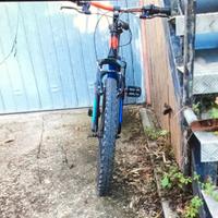 MTB Discruic