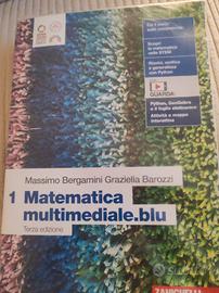libro matematica Blu