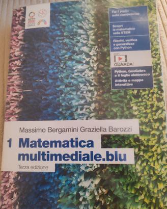 libro matematica Blu