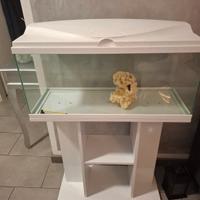 Acquario pesci piu'mobiletto base