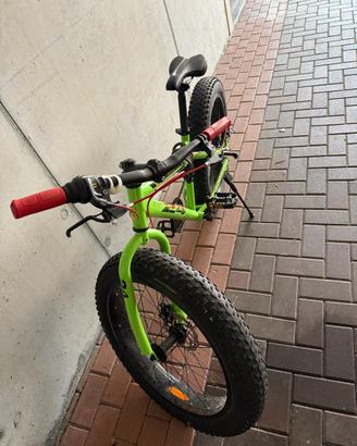 Bici fat bike