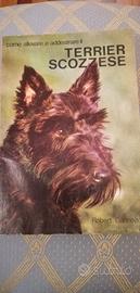 Come allevare ed addestrare il Terrier Scozzese
