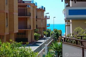 Nettuno. 1 minuto dal mare