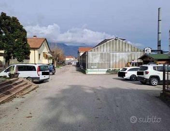 Immobile in asta di 8506 m² con più di 5 locali a 