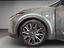 Immagine 21